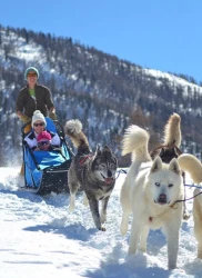 sledge-dogs-at-abries-queyras-2