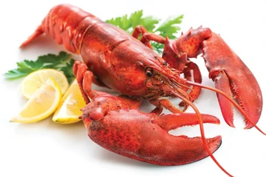 special-mobile-kitchen-for-lobster-discovery-tasting-4