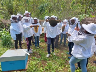 discover-beekeeping-morning-lunch-1