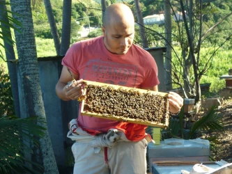 discover-beekeeping-morning-lunch-2