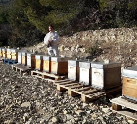 discovery-of-an-apiary-visit-tasting-3