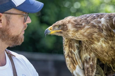 introduction-to-falconry-at-the-prieure-de-conil-2