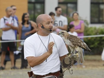 initiation-to-falconry-and-birds-of-prey-visit-of-the-zoological-park-3