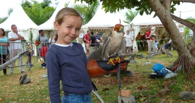 initiation-to-falconry-and-birds-of-prey-visit-of-the-zoological-park-4