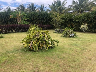 jardin-a-saint-andre-40000m2-pour-votre-journee-dentreprise-mariage-7