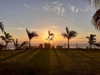 event-garden-with-ocean-view-saint-leu-5