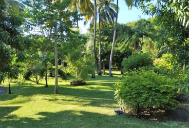 tropical-garden-reception-hall-and-swimming-pool-riviere-st-louis-2