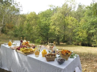 a-day-out-in-the-ardeche-countryside-team-building-in-the-green-5