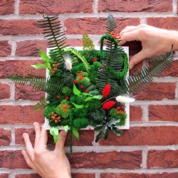 green-thumb-in-companies-kokedama-terrarium-plant-frame-4