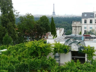 wine-seminar-vines-in-paris-2