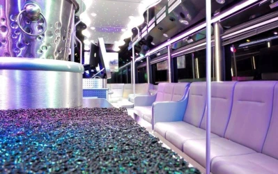 evening-or-seminar-in-the-islands-1st-bus-limousine-discotheque-5