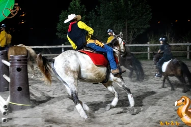 equestrian-show-evening-at-le-dodo-vert-gadiamb-saint-pierre-8