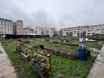 team-building-csr-workshops-at-a-peasant-farm-in-paris-1