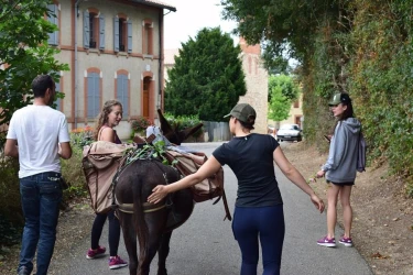 a-rally-between-teams-accompanied-by-donkeys-3