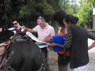 a-rally-between-teams-accompanied-by-donkeys-4