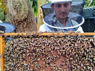 visit-the-apiary-beekeeping-workshop-at-saint-paul-2