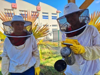 visit-the-apiary-beekeeping-workshop-at-saint-paul-5