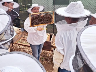 visit-the-apiary-beekeeping-workshop-at-saint-paul-7