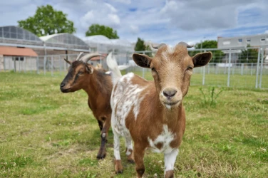 your-csr-seminar-at-the-ferme-de-gally-saint-denis-1