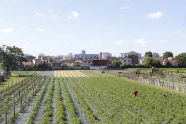 your-csr-seminar-at-the-ferme-de-gally-saint-denis-7