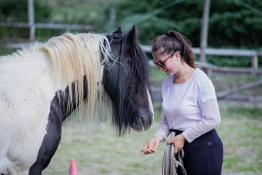 equestrian-team-building-the-horses-of-broceliande-2