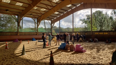 equestrian-team-building-the-horses-of-broceliande-3