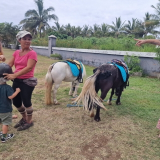 Arbre de Noel EFS Santé - Ferme Equestrewhatsapp-image-2025-12-30-at-07-12-23-69537115d8e0e567022799.jpg