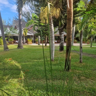 L.C.B - Anniversaire d'entrepriselieu-journee-entreprise-ouest-hotel-relais-de-l-hermitage-la-reunion-974-whereez-koh-lanta-pei-3-688ddd0ba14a1752528138.jpg