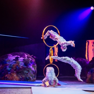 Acrobatic shows for corporate events
