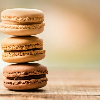 atelier-patisseries-et-macarons-a-nantes-0-67a6602866c8d900481109.jpg