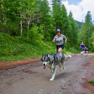 cani-cross-dans-le-queyras-course-avec-chiens-0-67a65f97b8dff145035745.jpg