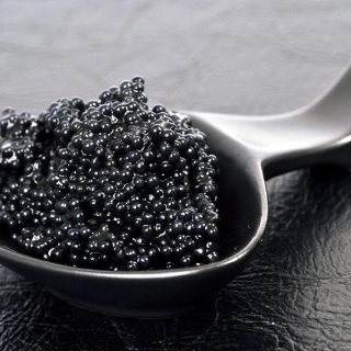 caviar-cuisine-mobile-pour-degustation-culinaire-dexception-0-67a660779163a082480824.jpg