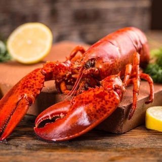 cuisine-mobile-speciale-homard-decouverte-degustation-0-67a66077b9d84076587943.jpg