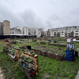 team-building-ateliers-rse-au-sein-dune-ferme-paysanne-a-paris-0-67a6602be3b3a268577967.jpg