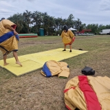 Arbre de Noel EFS Santé - Ferme Equestre - 5